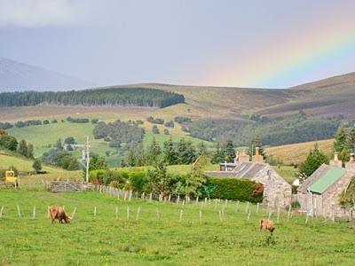 Honey Cottage Auchnarrow Bagian luar foto